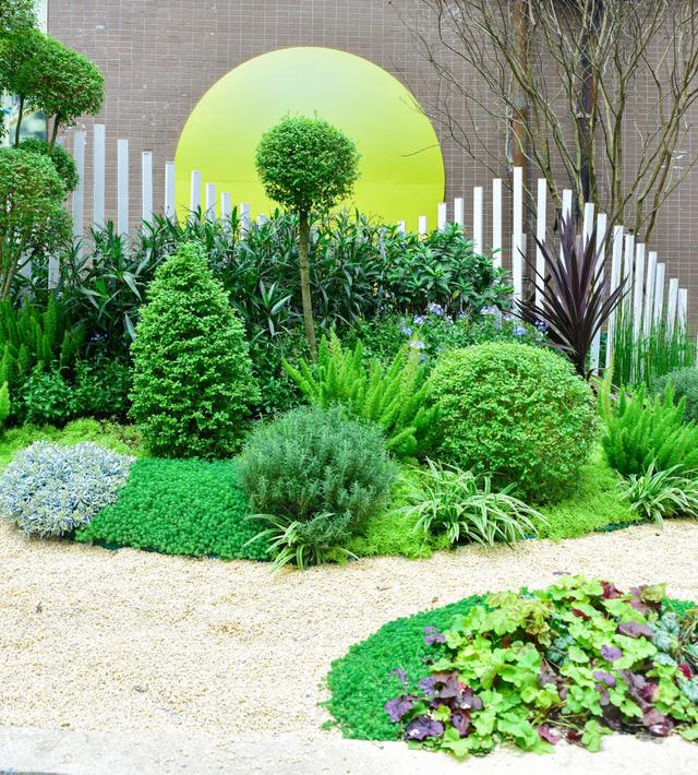 初冬色彩+N！街角美得藏不住→