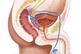 男孩的睾丸“消失不见了”是怎么回事？必须要手术吗？图片