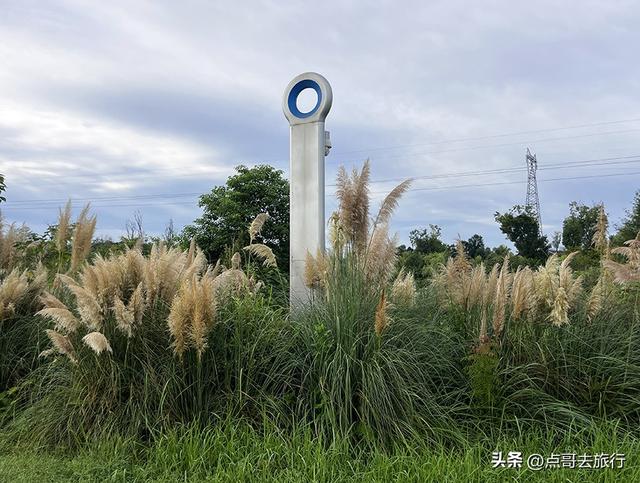 成都最近的原野公园，超级惊艳，一个湖风景就是王者，公交直达！