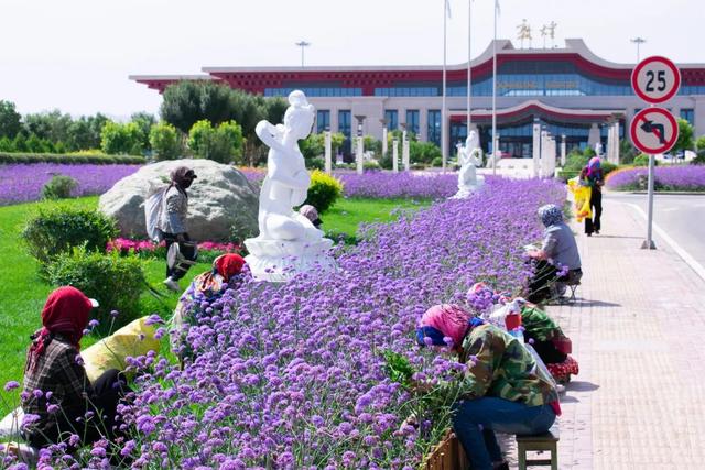 落地敦煌，鲜花接机