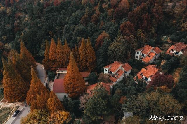 惊呆了！男子登顶华山直接先做十大碗。