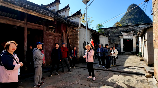 银杏古村披金纱 秦家大院引客来