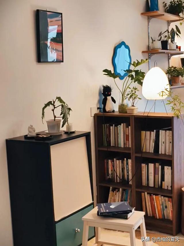 河南一男子晒出56平的家	，因太会收纳走红，全屋那叫一个脑洞大开