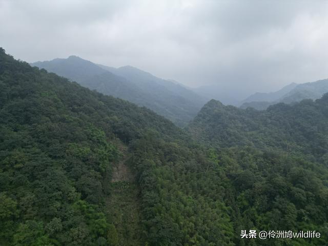 成都徒步（69）·彭州篇⑯法藏寺环线（桥断未走通）