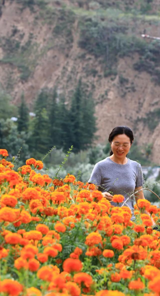 南山藏了片黄金海！现在去刚好🥳~