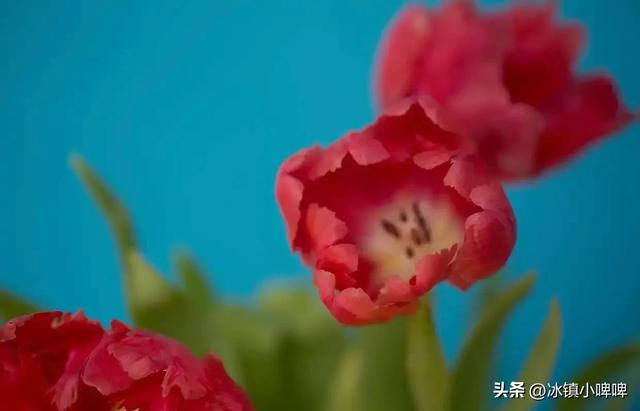 一个男人心里有没有你，就看吵架的时候，他有没有这两种表现