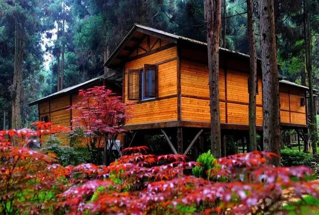 这个秋天来坪坝营，把日子过成童话！