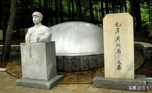 毛泽东为何派毛岸英去抗美援朝	，时隔70年，刘思齐终于说出原因！