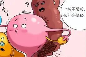 怀孕时，器官是怎么发生“位移”的？图片