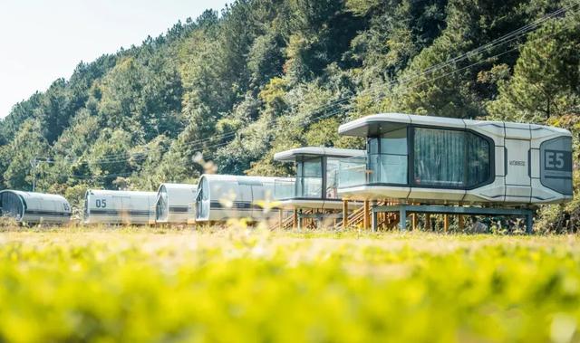 乡游黔中 · 花溪区 黔陶布依族苗族乡丨古茶香漫，避暑山居揽星河