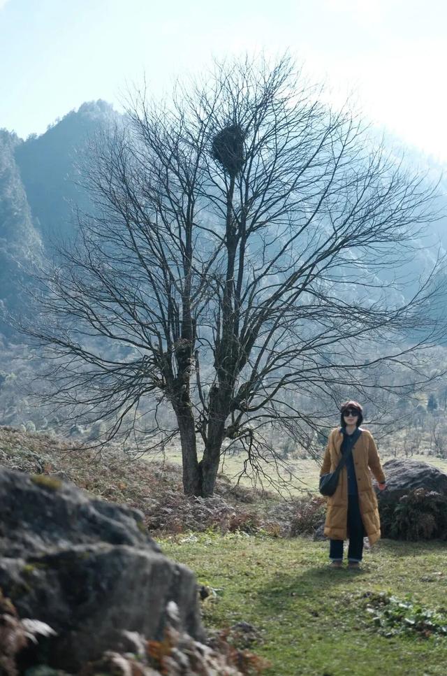 秋天还没过够？那就去乐山留住秋天！