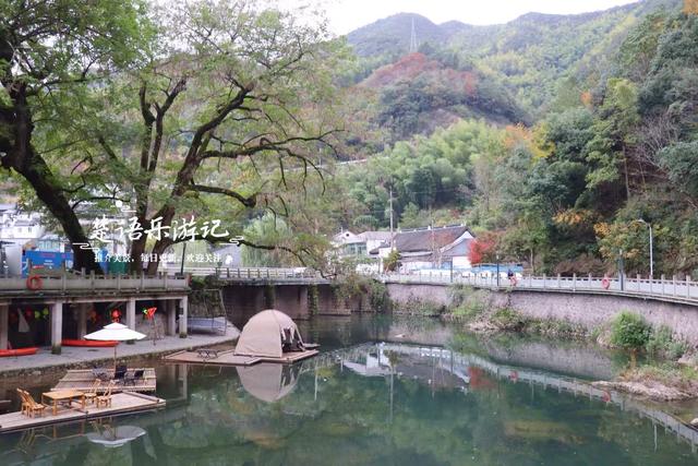 宁波余姚的夫妻银杏又火了，树边的溪上休闲空间超美，好拍又好玩