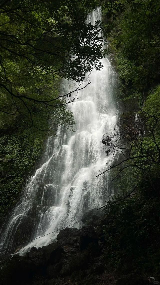 秘境新发现！比起青城山，我更爱它旁边0元的隐藏瀑布，超好玩！
