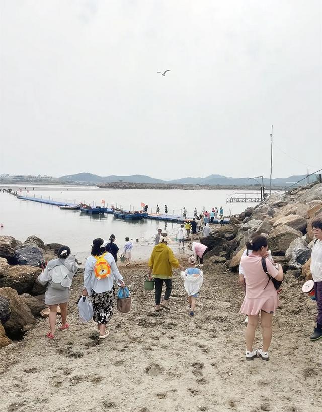 24城，798人，近100小时！明亚&安盛天平公益活动圆满举行!