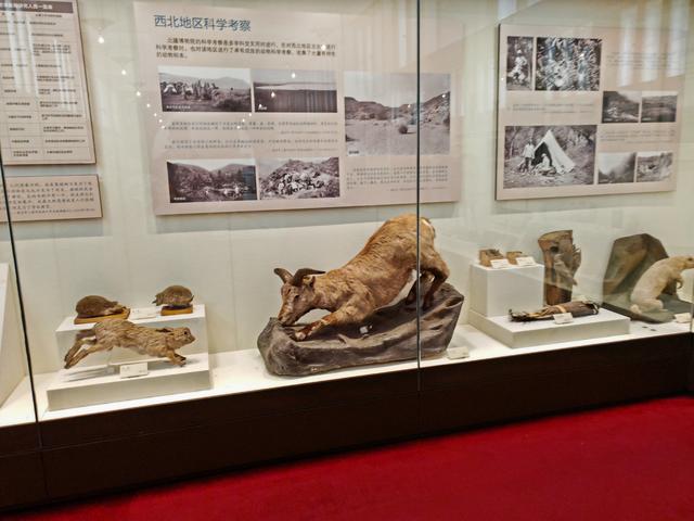 周末遛娃好去处