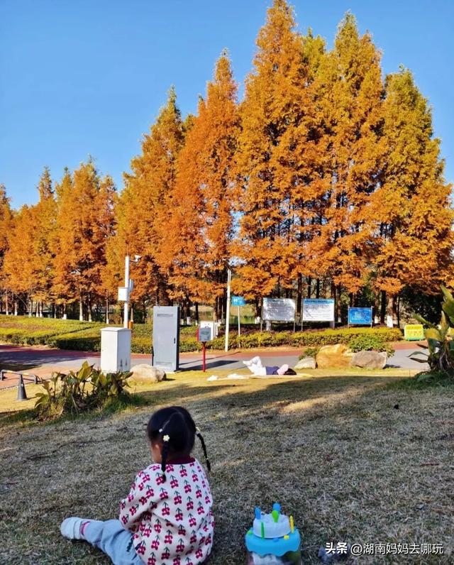 30分钟登顶！长沙私藏小众徒步路线，一站解锁遛娃顶“尖”玩法