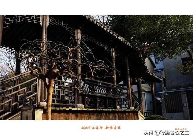 上海古镇行游影记（2）—新场古镇（二）