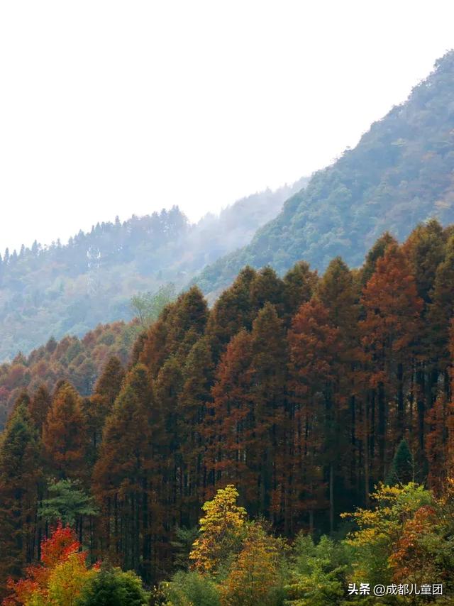 成都周边8条赏秋彩林线，人少景美，12年资深徒步玩家推荐