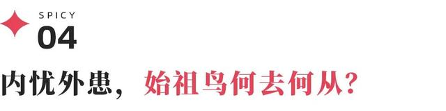 始祖鸟的奢侈品化转型阵痛藏不住了