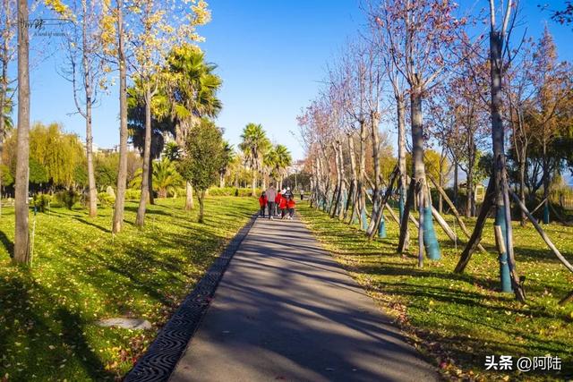 寻找大理海西的最美绿道，色彩缤纷秋意盎然，目测已经开始落叶啦