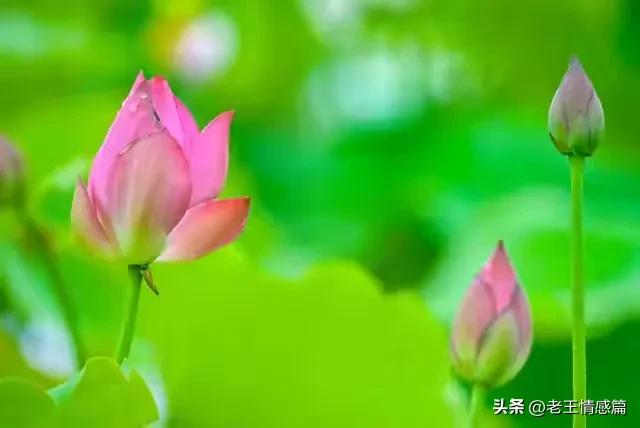 女人在什么时候最花心，女人到了中年最花心。