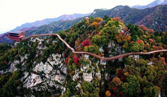 亮相央视！渭南这个赏秋地，究竟有多美？