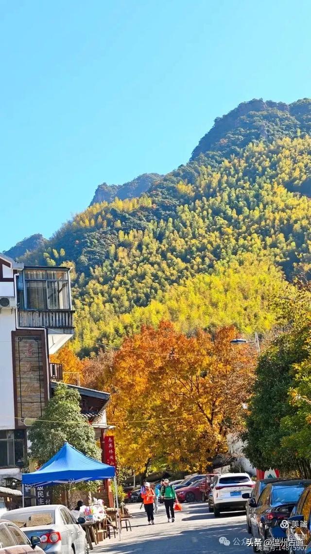踏秋胜地,天脊龙门!浙江这个4A级景区已美成童话,等你来打卡