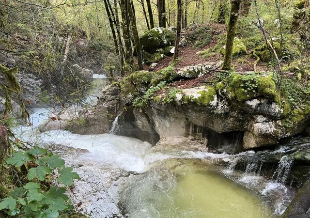 雅安有一个避暑景区，夏日气温23℃，来过的人根本不想走