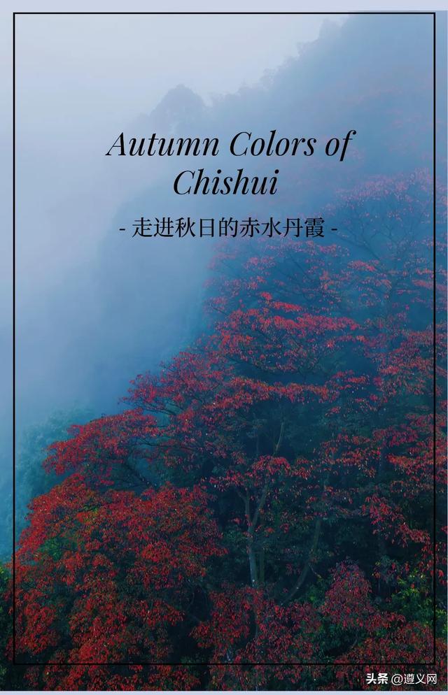 悦·遵义丨秋天的赤水，太美！