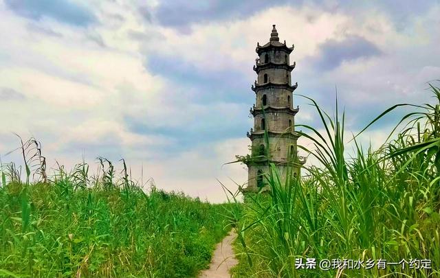 沅江南洞庭湖：一张会呼吸的湿地名片，等你来深呼吸！