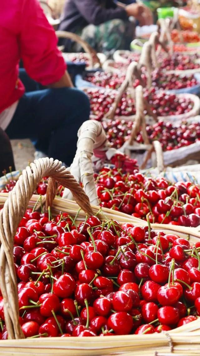 6城上榜！2025康养百强榜出炉，山东凭什么这么能打？