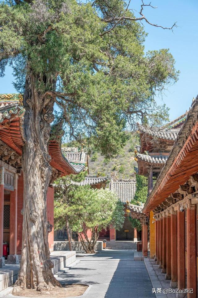 陵川西溪二仙庙：一庙藏尽太行春色，千年柏下听仙踪