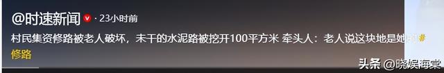 老太破坏修路路面后续：民警走了又挖，村干部曝真相，子女被牵连