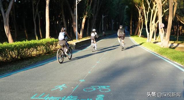 深圳最长环湖骑行道,即将全线贯通