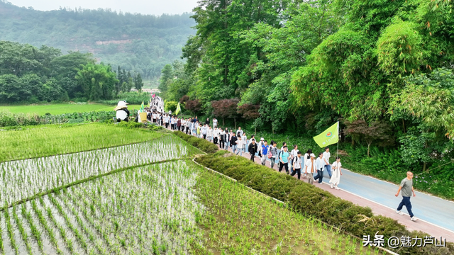 红色文化赋能新发展 绘就文旅融合新图景