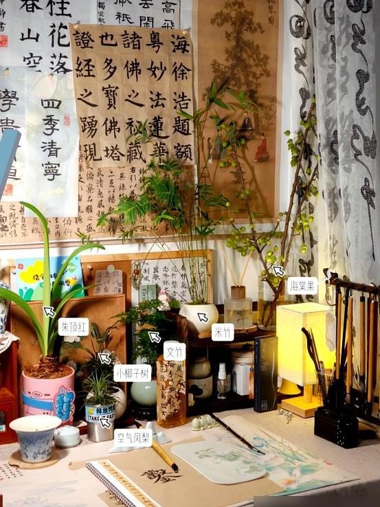 “阴花不能进阳宅”！家里若有这5种花，请赶紧“搬出去”！
