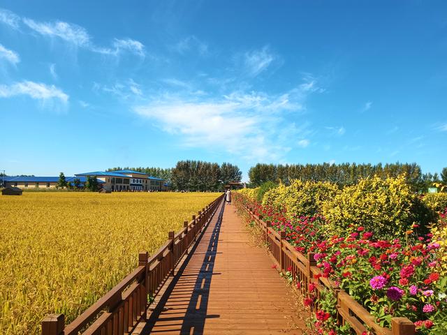 稻田公园
