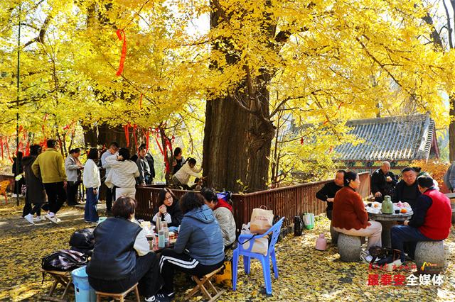 古刹藏金叶 银杏染清辉