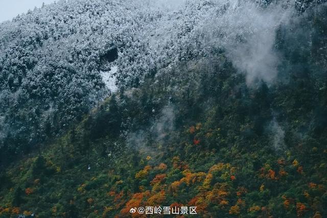 四川人盼初雪的心情谁懂！