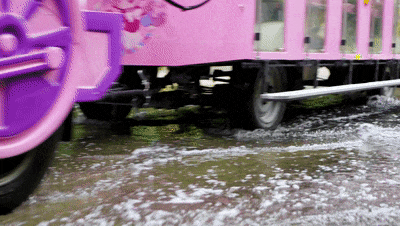 4万公里 ，100%出勤率！宇通观光车助力长隆打造沉浸式生态之旅