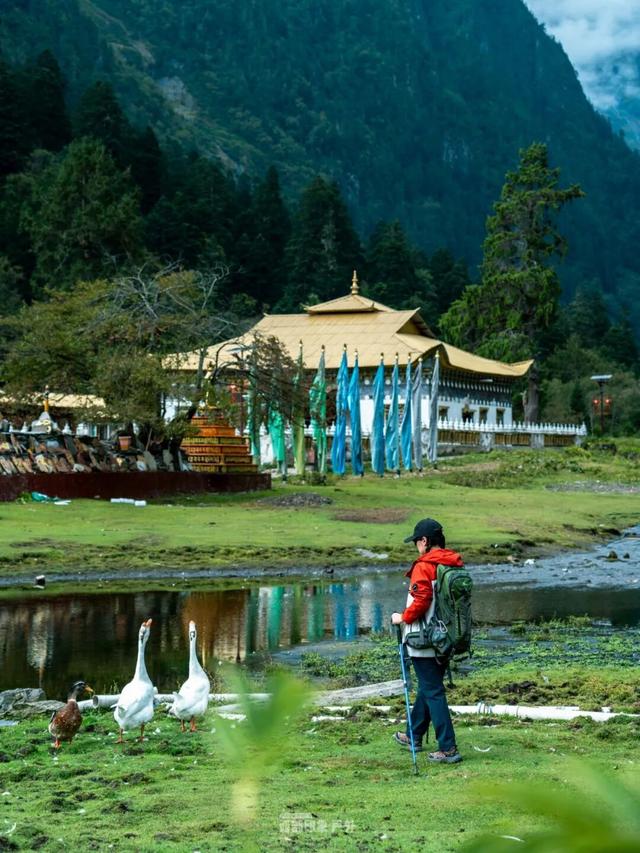 雨崩转山月：不负山河，奔赴所爱