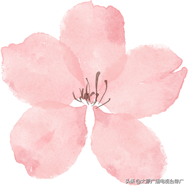 四月芳菲，来万柏林赴一场“桃花之约”