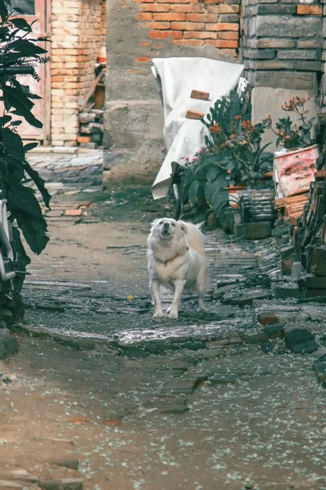 这座运河古城，早该被更多人看见！