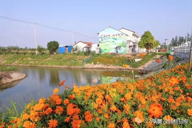 沙原渔村：好风景与好生活共“生长”