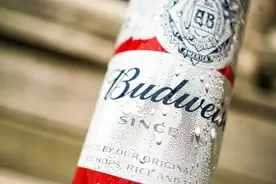 啤酒巨无霸，被中国同行打服了图片