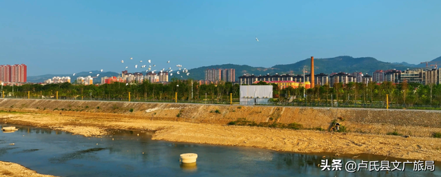 【百鸟翔集】中国最美县域 | 百鸟翔集映林海 生态卢氏邀君赏