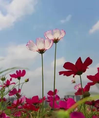 女人好不好撩，微信上发“三个字”试探一下，心里就有数了