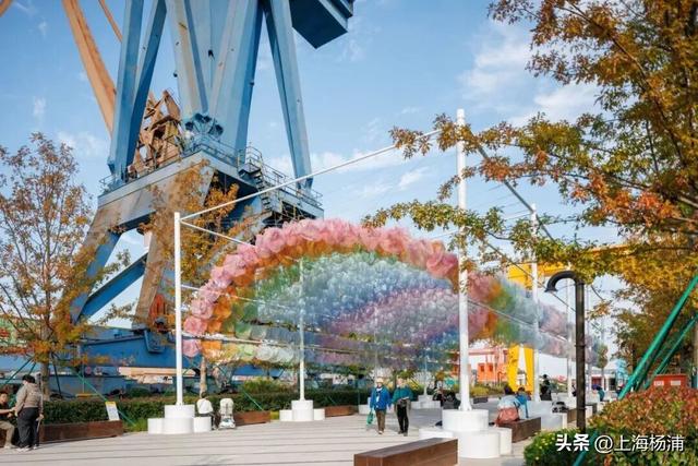 强推！这三条Citywalk路线带你畅游复兴岛和杨浦滨江