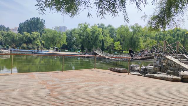 包头公园行（阿尔丁植物园、赛罕塔拉城中草原、奥林匹克公园）