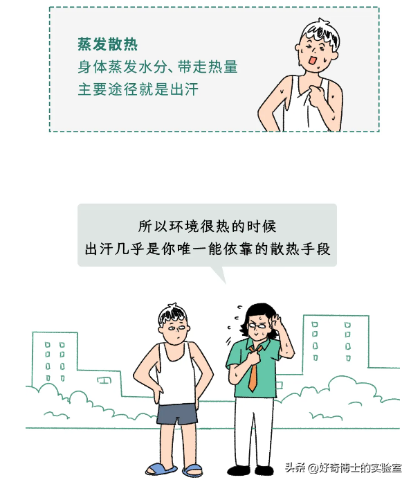 一热就出汗的人和热死不出汗的人，哪种更健康？